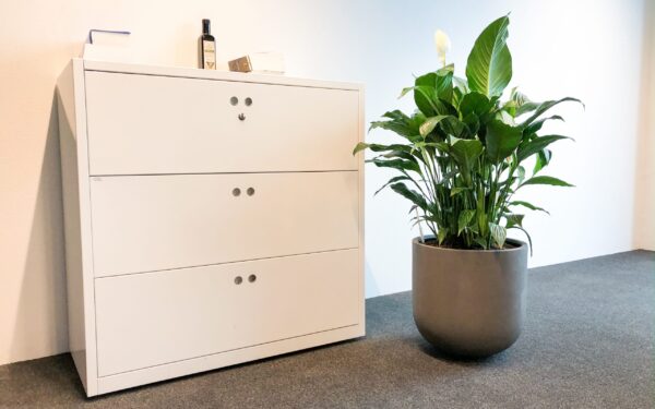 Spathyphyllum in cementkleur plantenbak