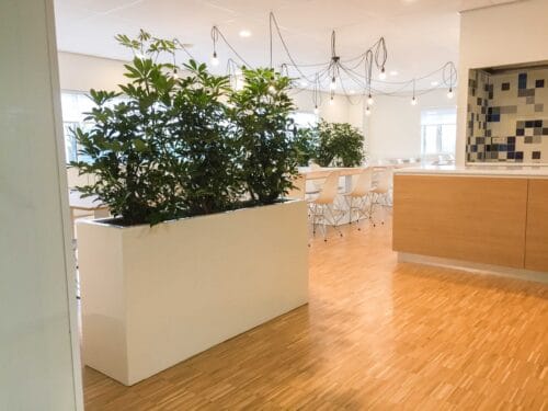 luchtzuiverende plantenbak