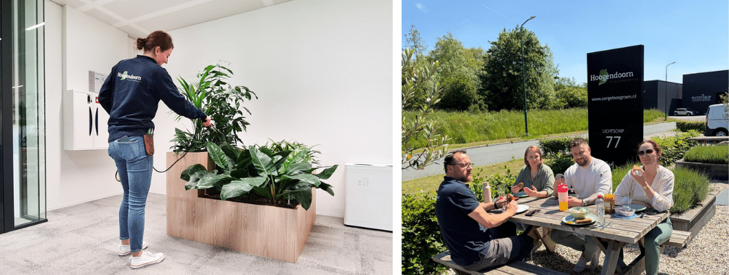 werken bij Hoogendoorn Projectbeplanting in Houten