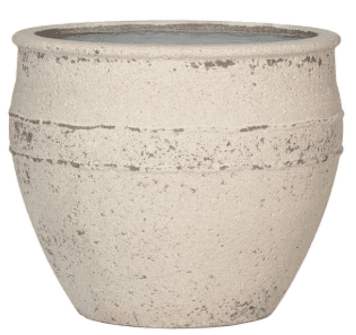 Mediterranean Apollo plantenbakken