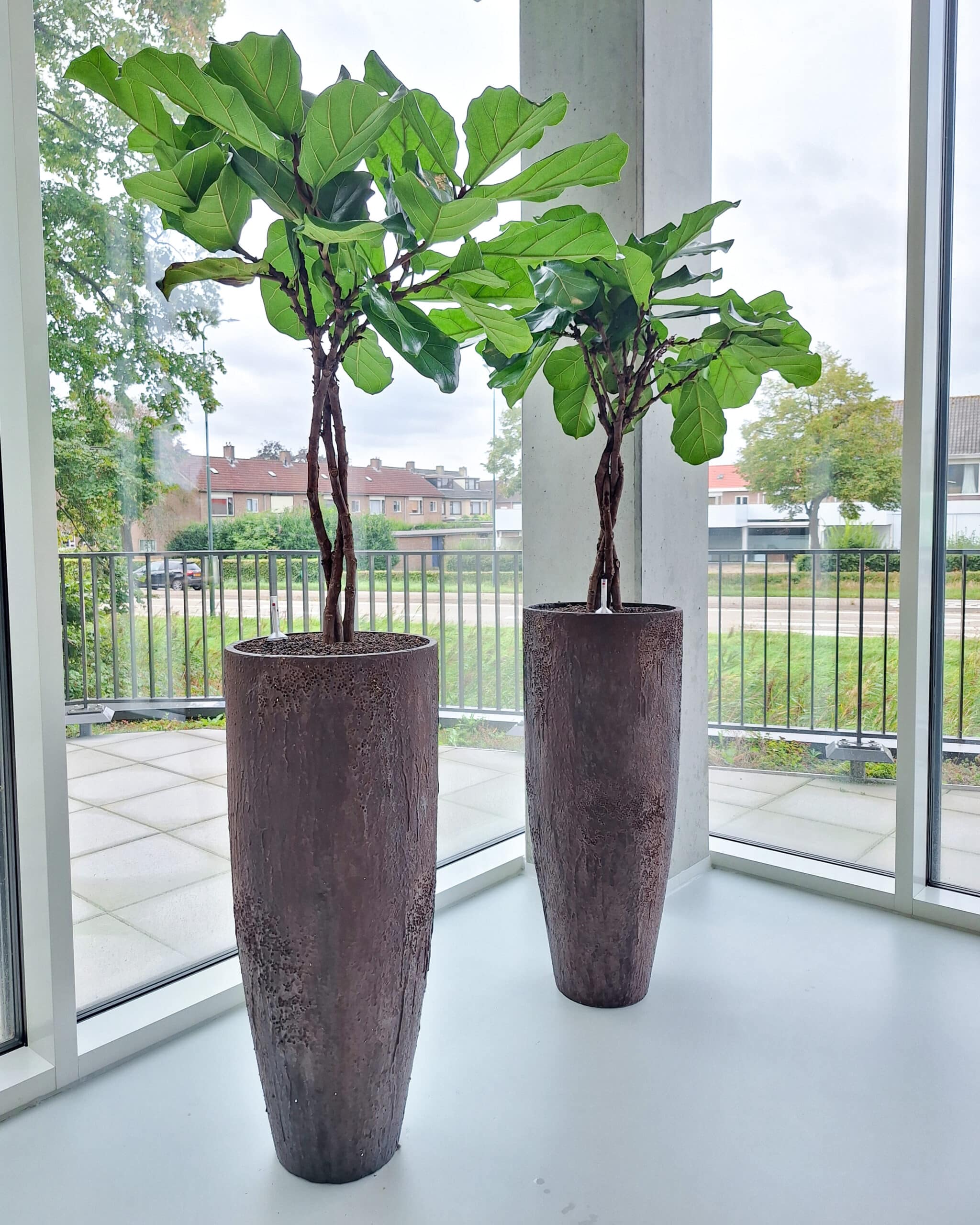 Duurzame interieurbeplanting, plantenbakken bij Result Laboratorium