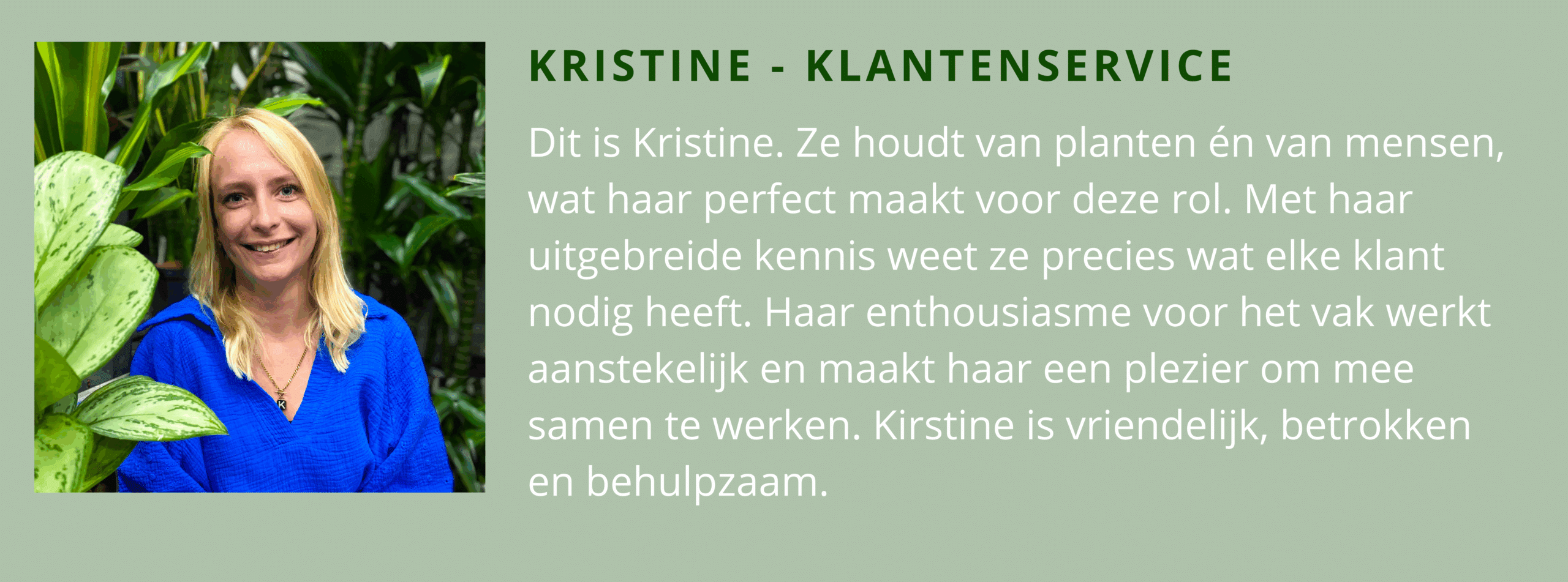 Klantenservice kantoorplanten