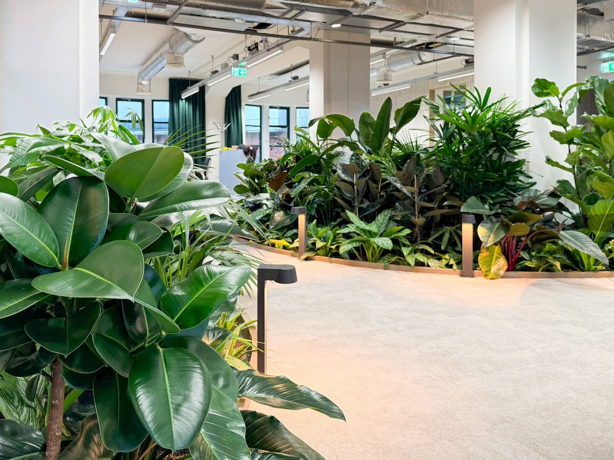 Binnenbeplanting bij Fonds Podiumkunsten