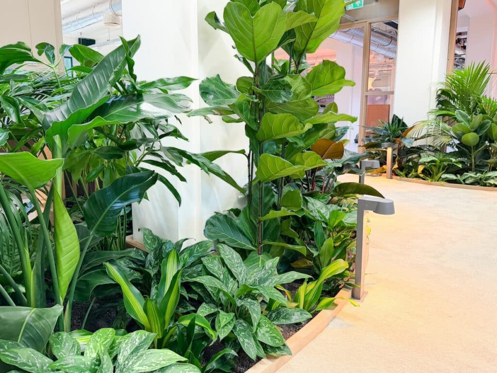 Binnentuin bij Fonds Podiumkunsten