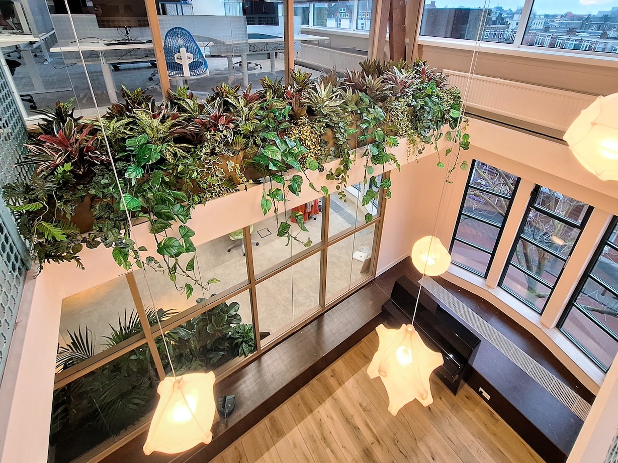 Hangplanten bij Fonds Podiumkunsten
