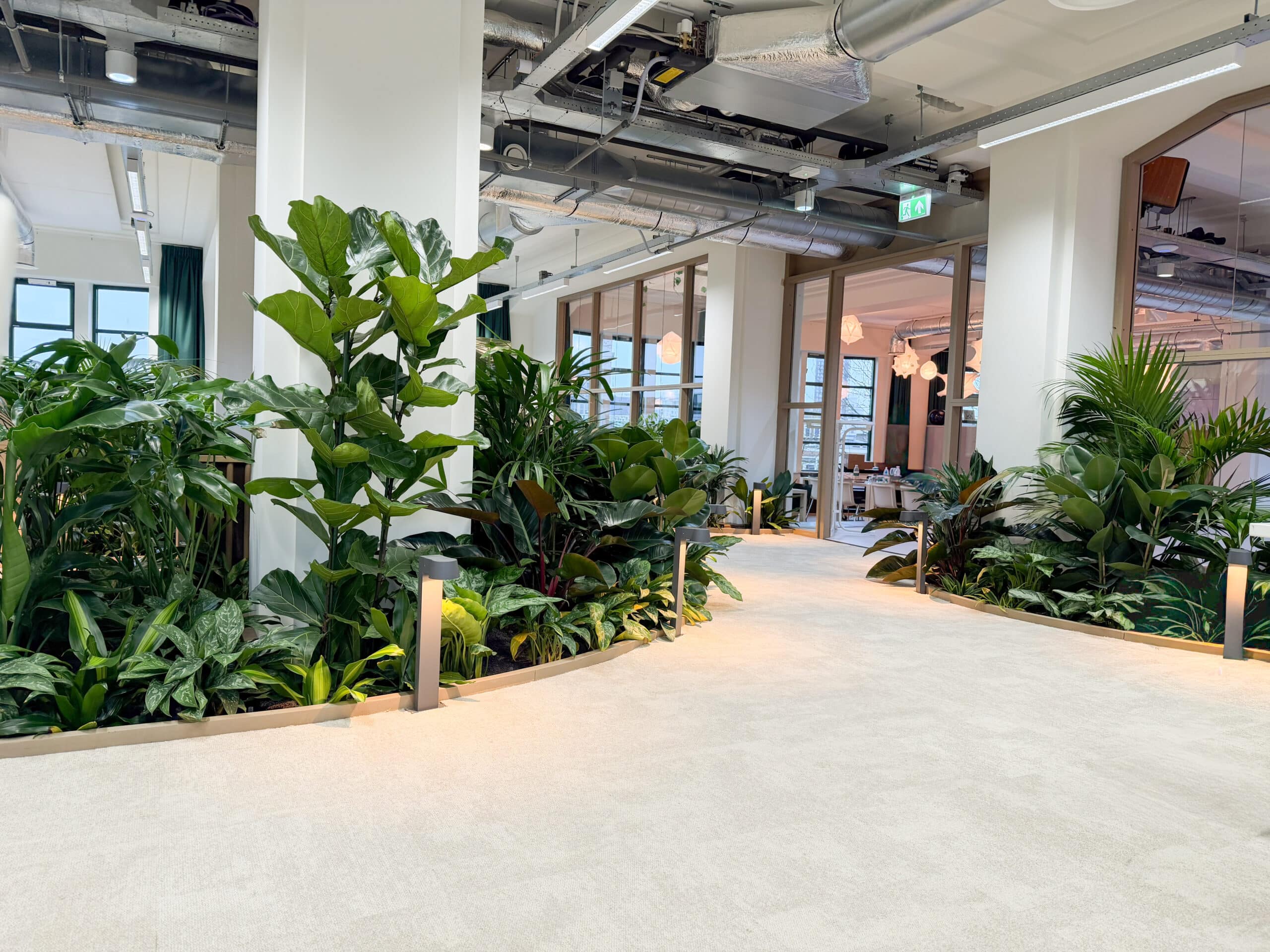 kantoor beplanting voor fonds podiumkunsten in grote hal