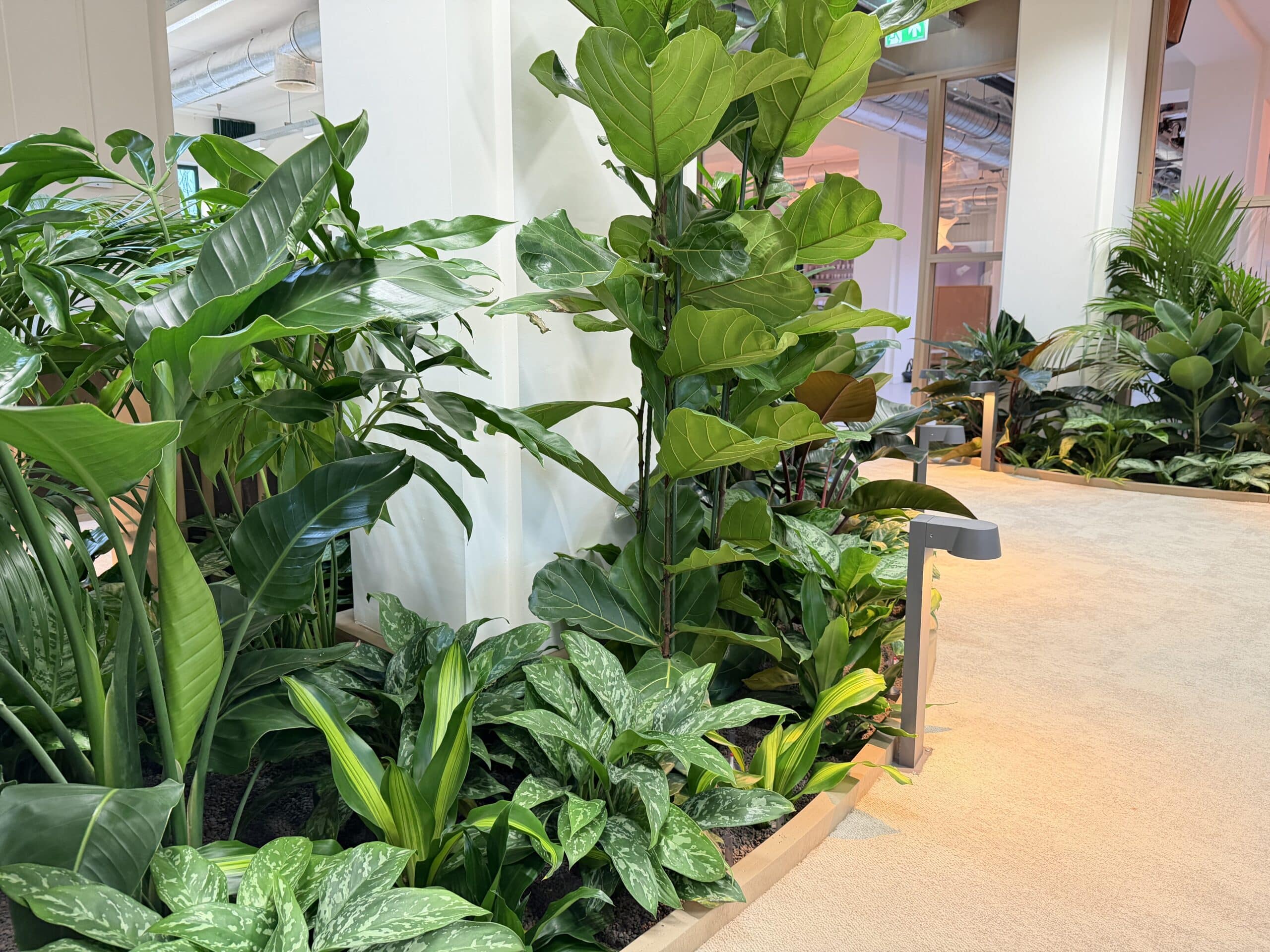 kantoor beplanting