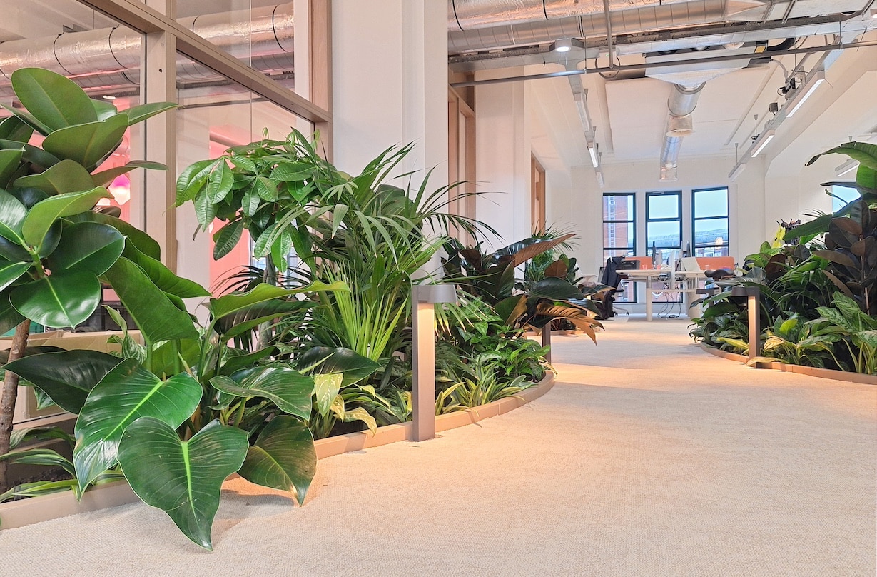 Interieurbeplanting bij Fonds Podiumkunsten