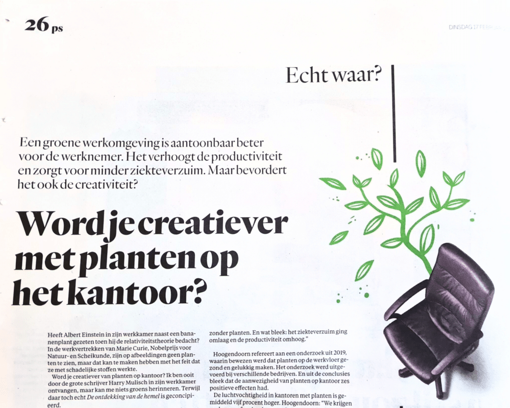 Krantenartikel in Het Parool met de titel “Word je creatiever met planten op het kantoor?” over het effect van groen op creativiteit en werkprestaties.