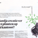 Krantenartikel in Het Parool met de titel “Word je creatiever met planten op het kantoor?” over het effect van groen op creativiteit en werkprestaties.