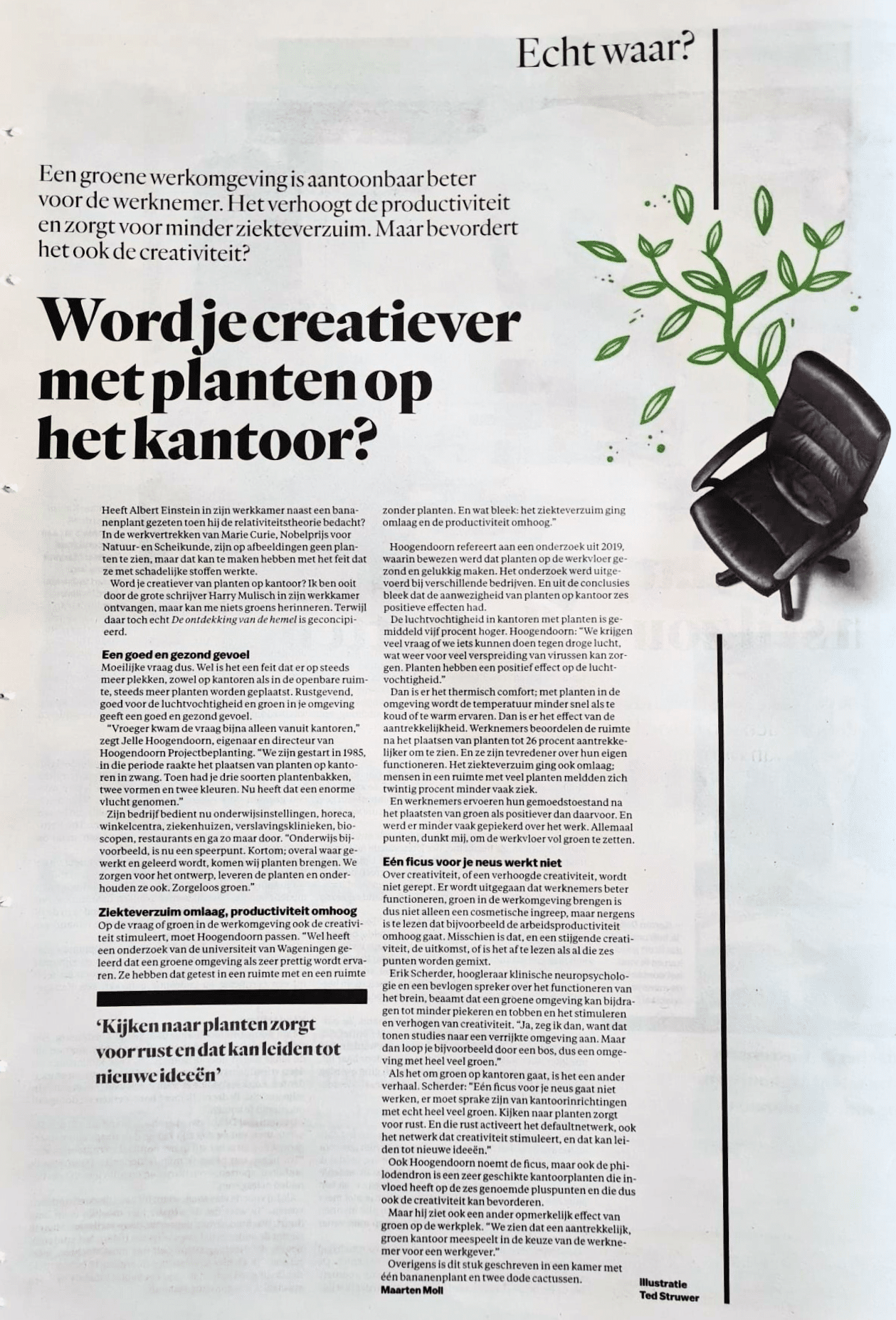Krantenartikel in Het Parool met de titel “Word je creatiever met planten op het kantoor?” over het effect van groen op creativiteit en werkprestaties.