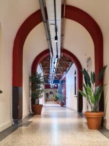 Kunstplanten bij Union House Utrecht