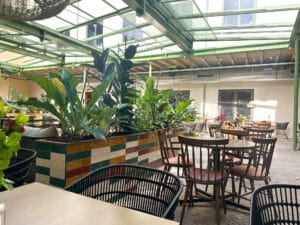 Planten in de patio van restaurant Union House Utrecht