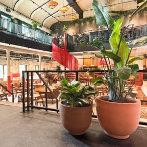 Union House Utrecht heeft prachtige interieurbeplanting in de horeca