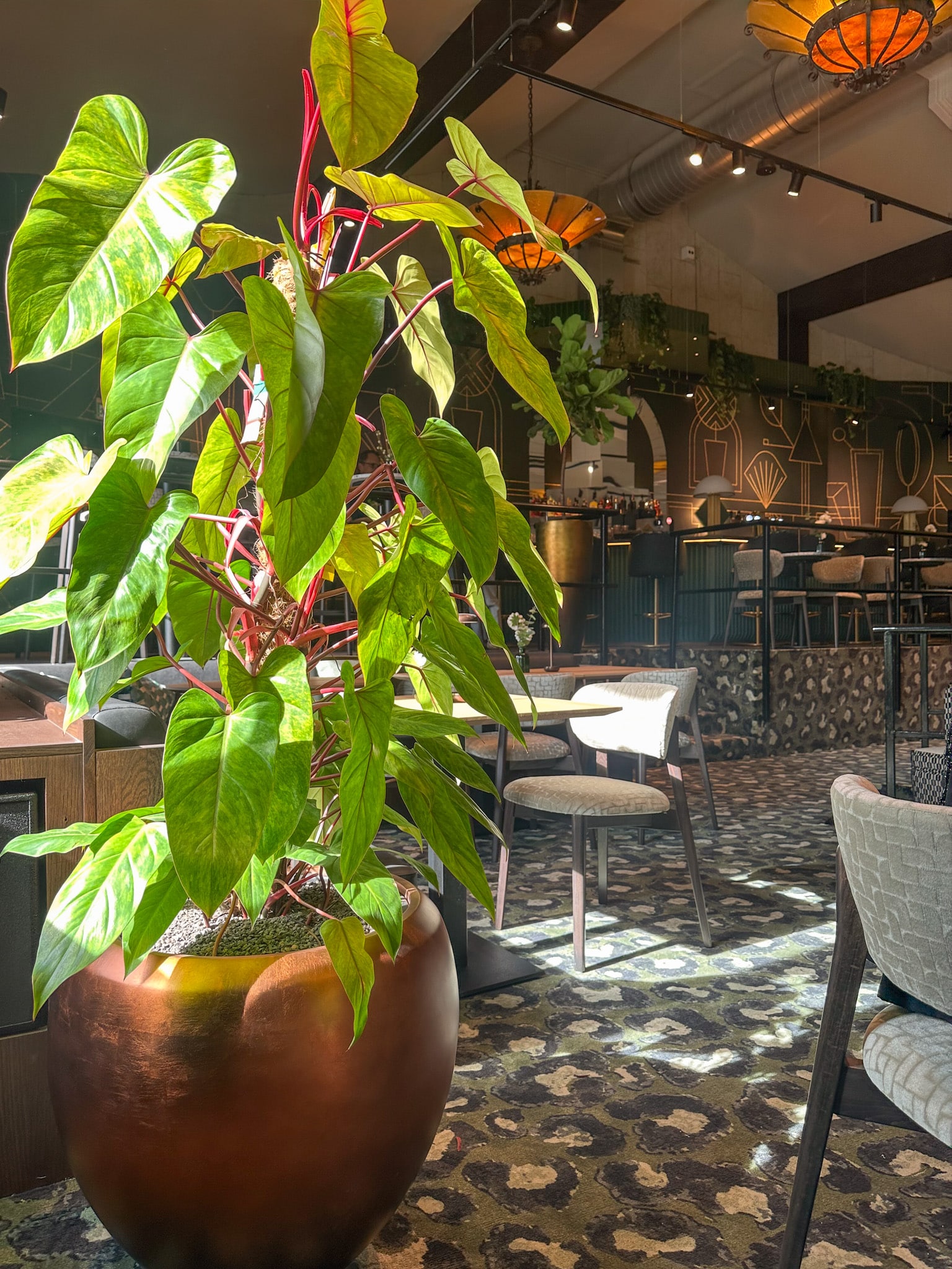 Union House Utrecht - interieurbeplanting voor de horeca