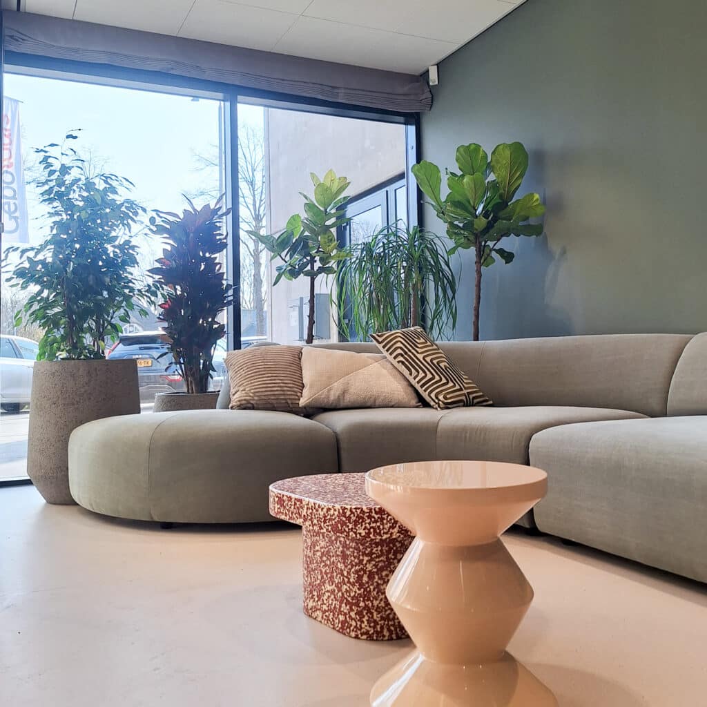 Voor het nieuwe kantoor van GEBO Tours ontwierp Hoogendoorn Projectbeplanting een passend beplantingsplan. Van de eerste schetsen tot de realisatie op locatie zorgden we voor een groene inrichting die aansluit bij het interieur, de ruimte en de wensen van de organisatie.