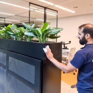 Bestrijding van luis in kantoorplanten