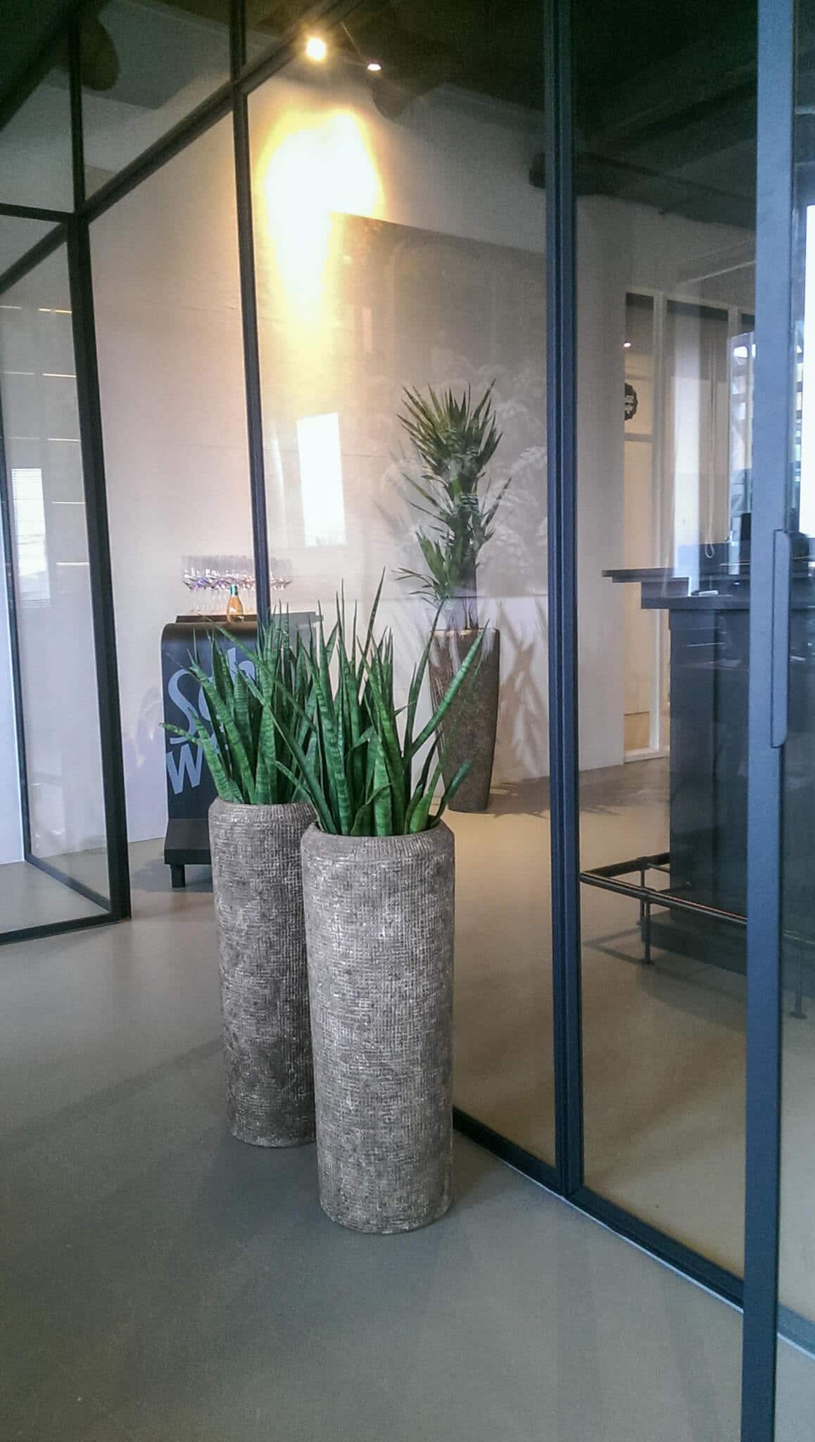Planten op kantoor