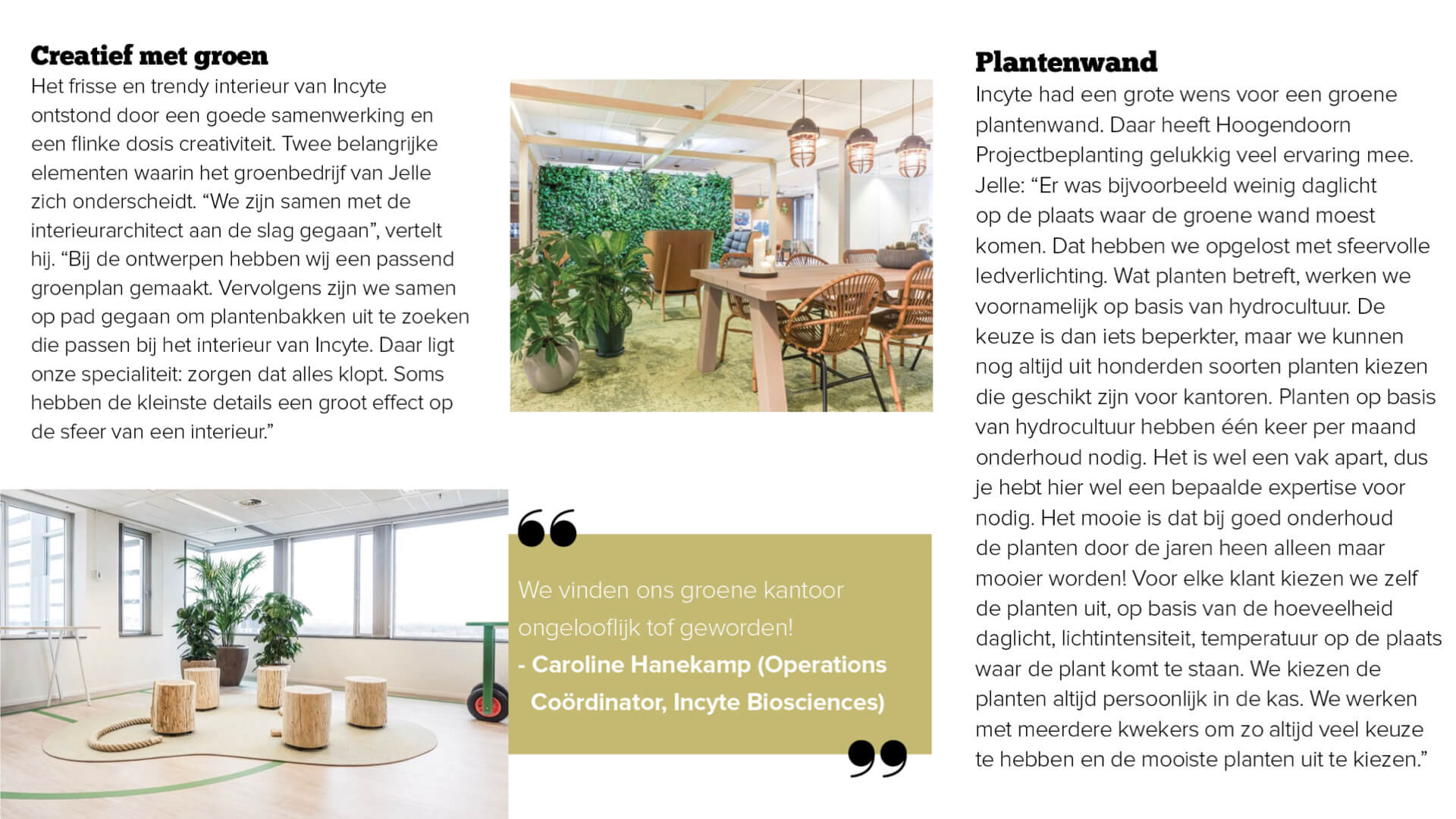 Hoogendoorn Projectbeplanting in interieur magazine