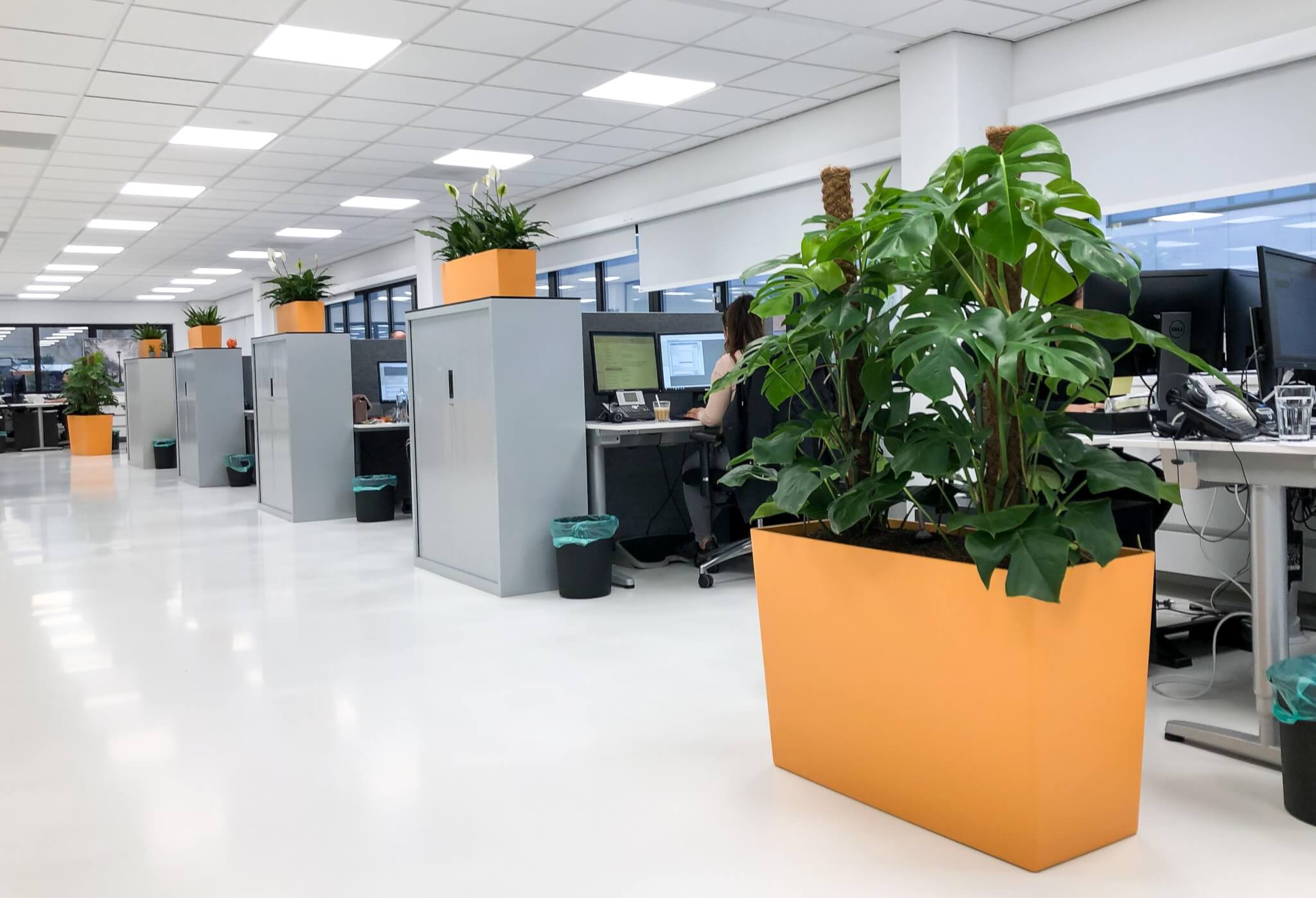 Planten op kantoor