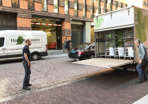 Levering interieurbeplanting
