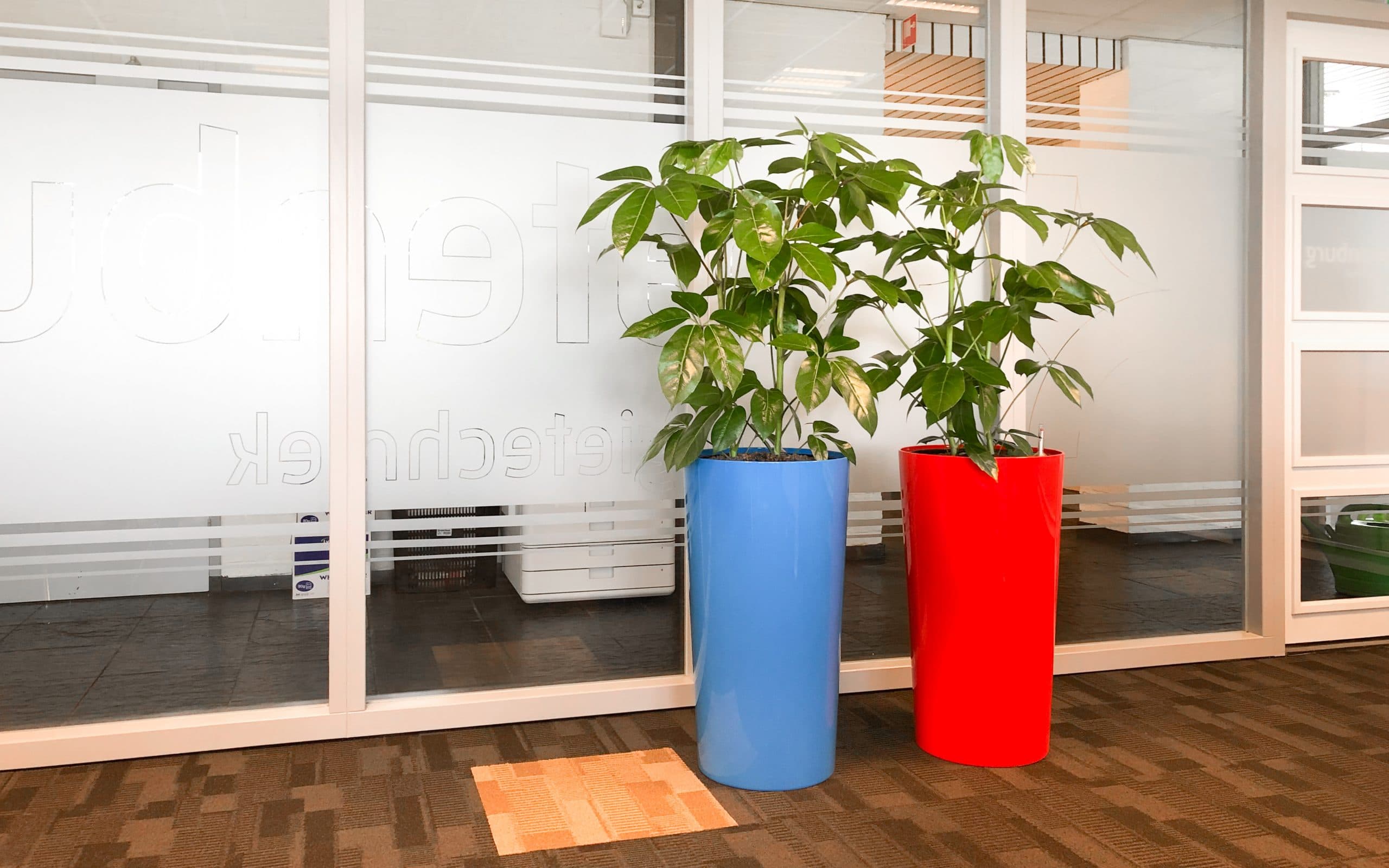 Kleurijke plantenbak bij batenburg energietechniek groene werkplek kantoorbeplanting