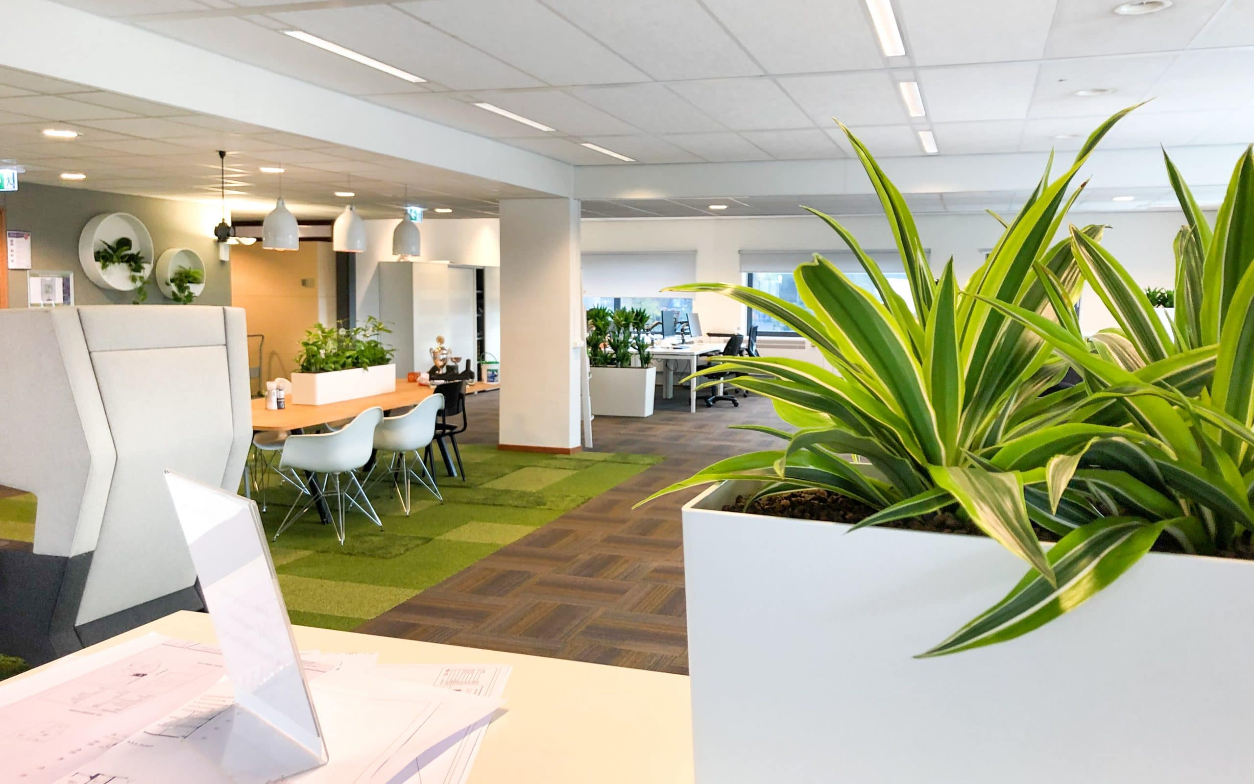 groen gezond kantoor met planten