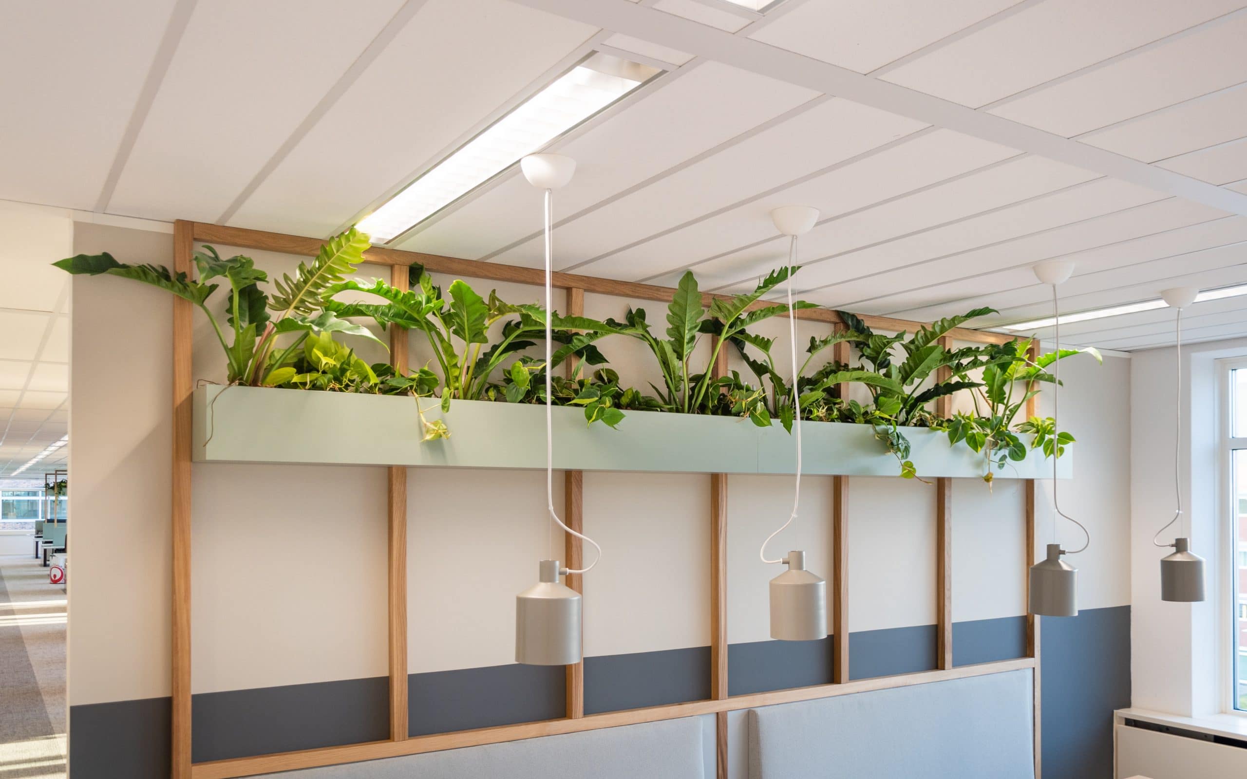 Planten kantoor Amsterdam