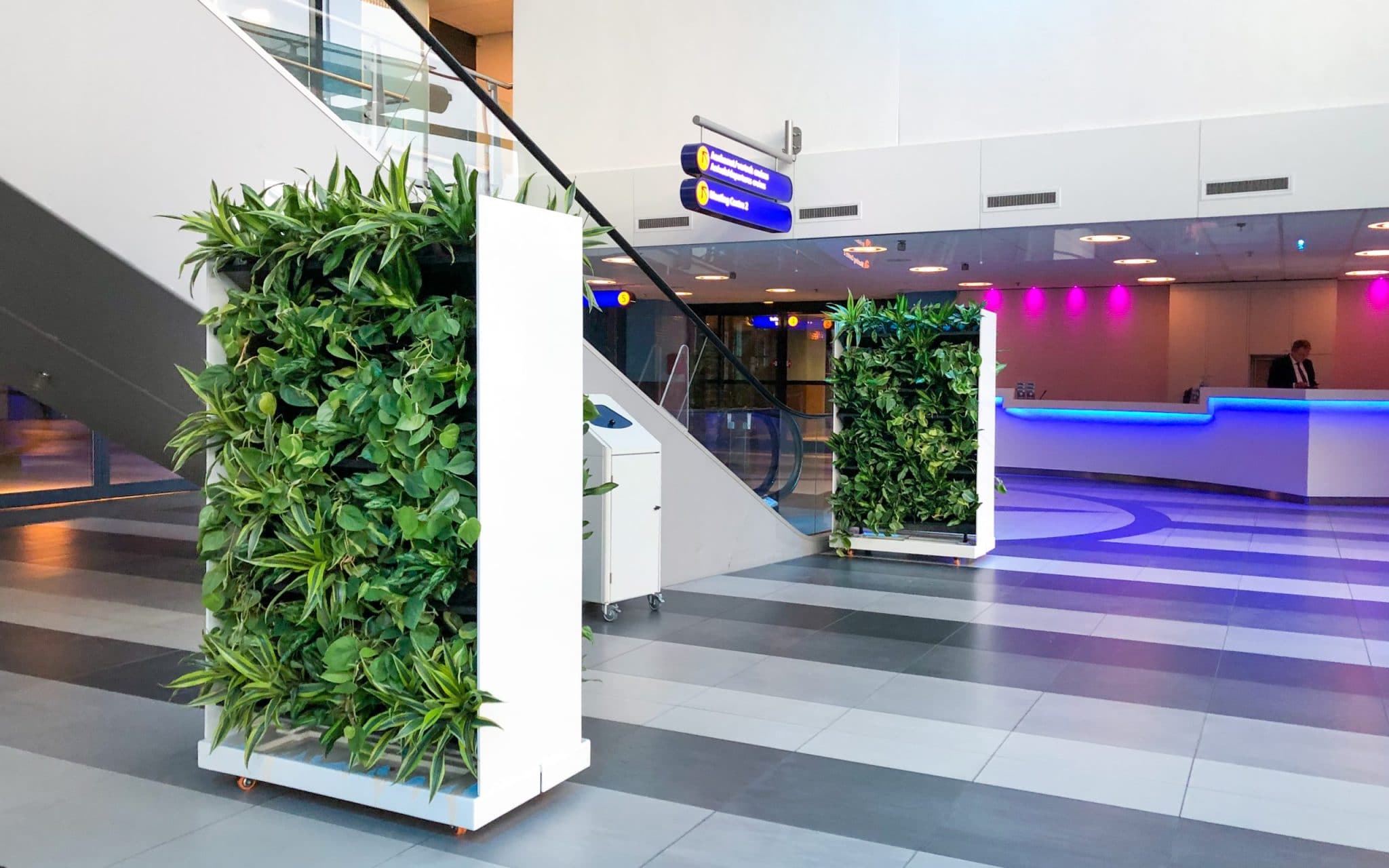 Flexibel en groen Room divider met planten