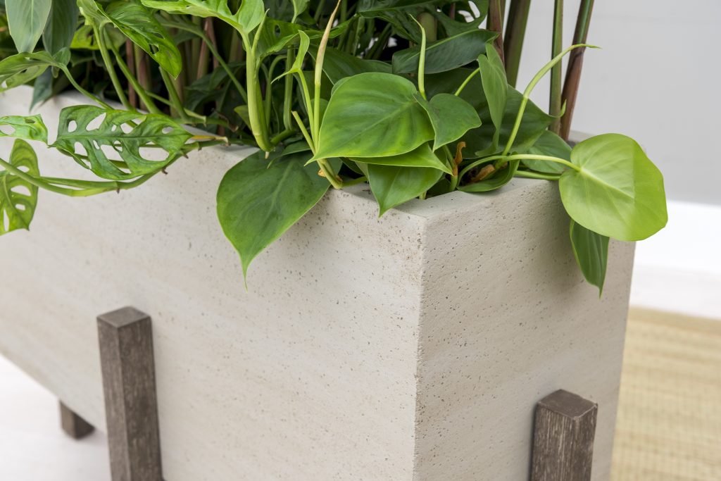 Nieuw in ons assortiment: Cement with Feet plantenbakken