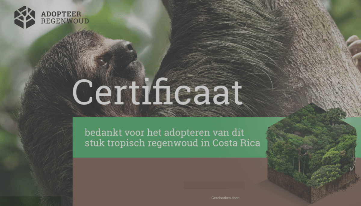 Adopteer Regenwoud Hoogendoorn Projectbeplanting