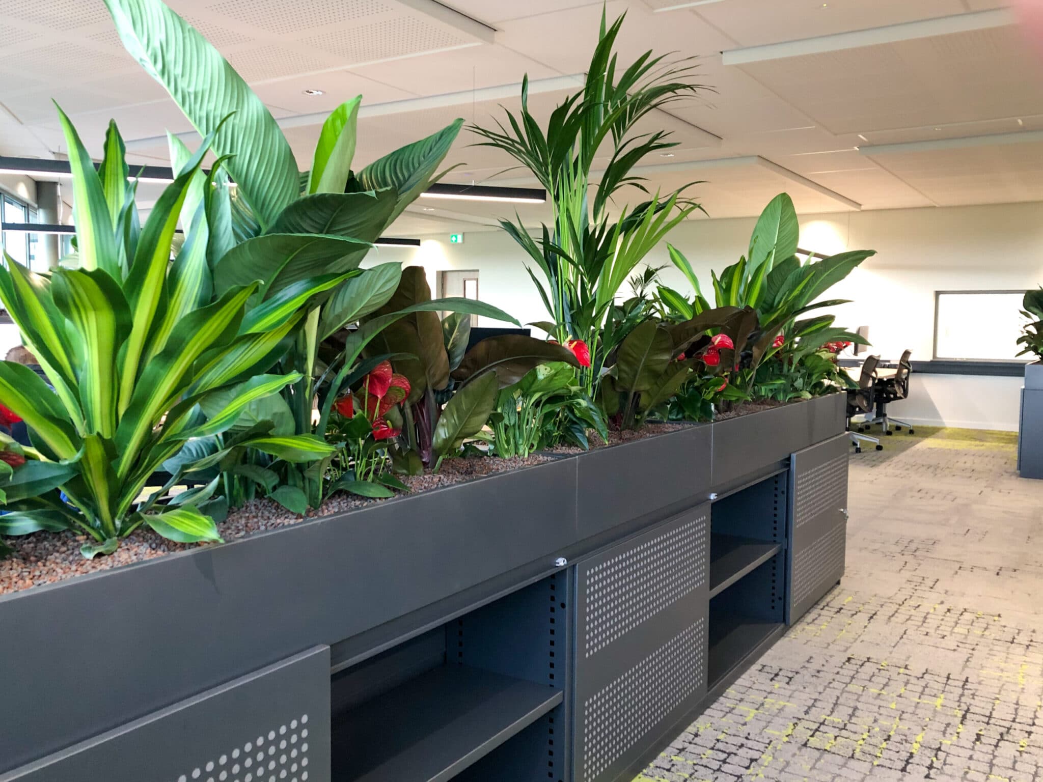 Roomdivider 2021 Hoogendoornprojectbeplanting.nl