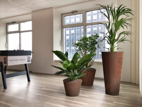 Planten op kantoor Doetinchem