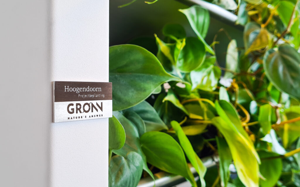 GRONN by Hoogendoorn