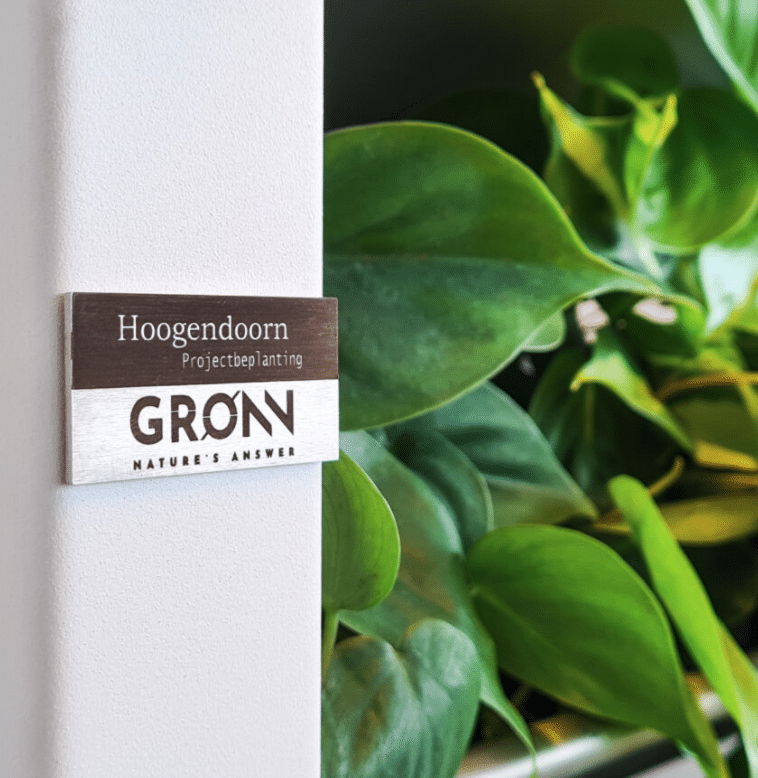 GRONN by Hoogendoorn
