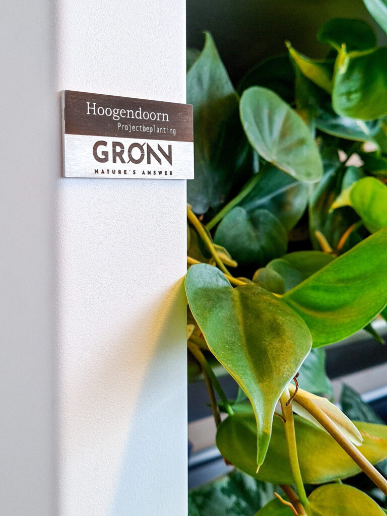 Gronn by Hoogendoorn