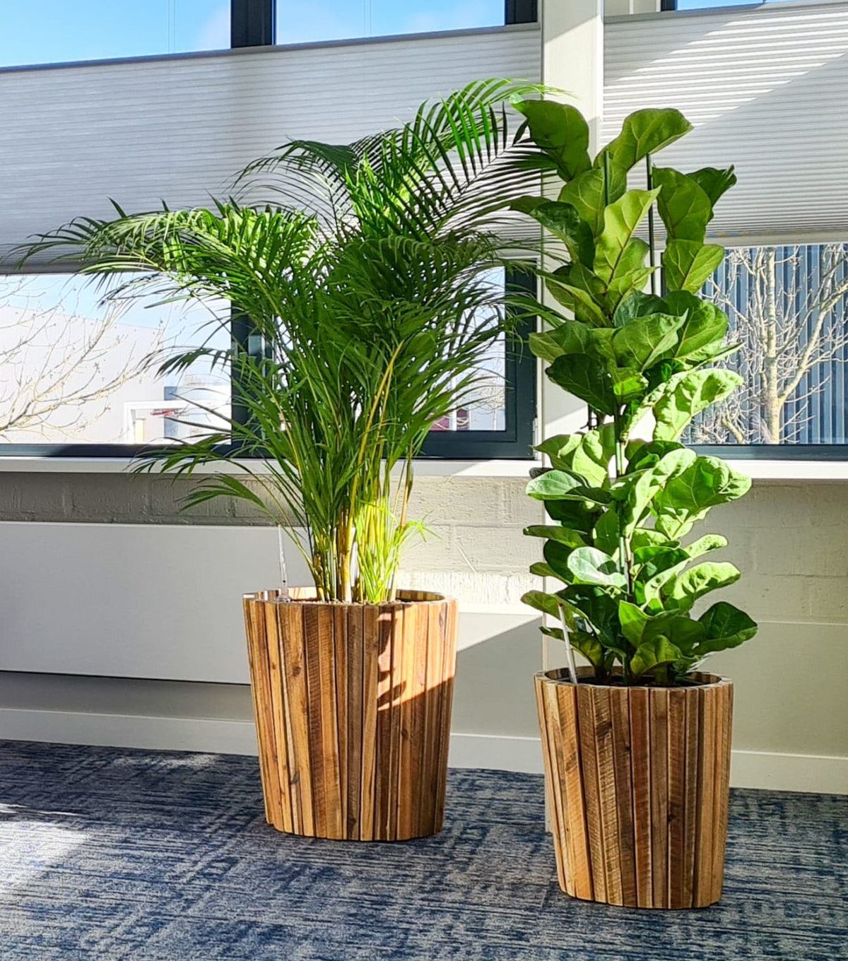 Verbinding op kantoor met planten