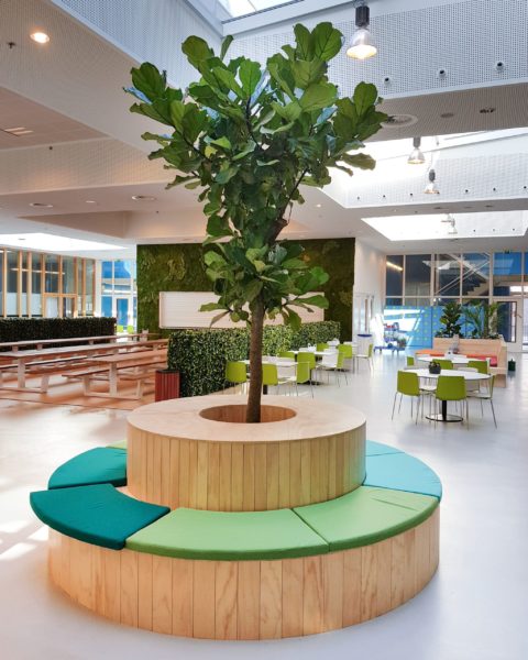 interior landscaping & maintaining office plants