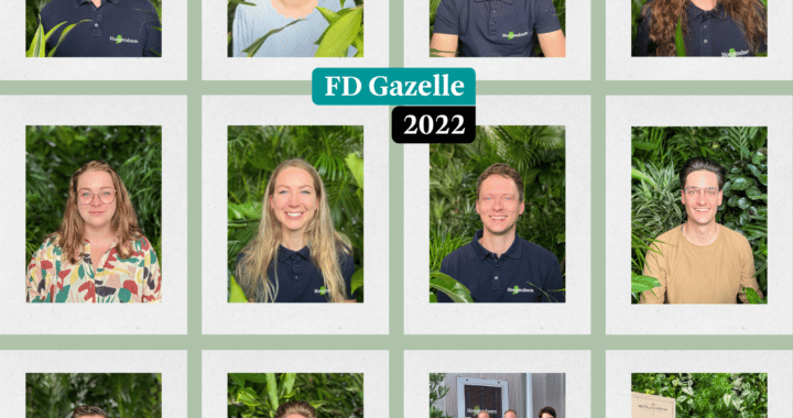 Hoogendoorn Gazelle 2022