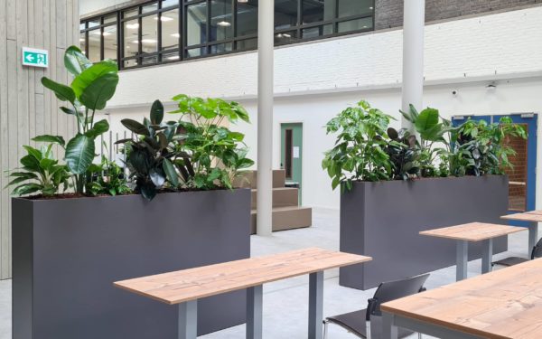 Plantenbakken en roomdivider MBO Utrecht