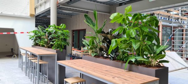 Plantenbakken en roomdividers MBO Utrecht groene leeromgeving
