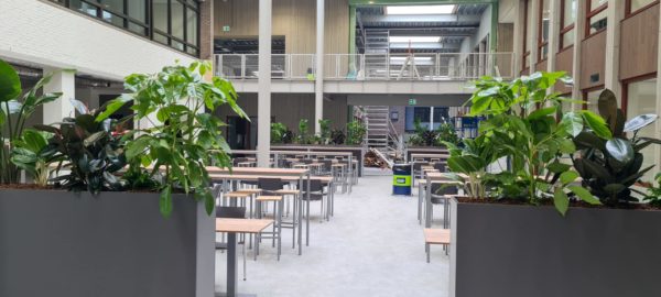 Roomdividers en plantenbakken MBO Utrecht groene leeromgeving