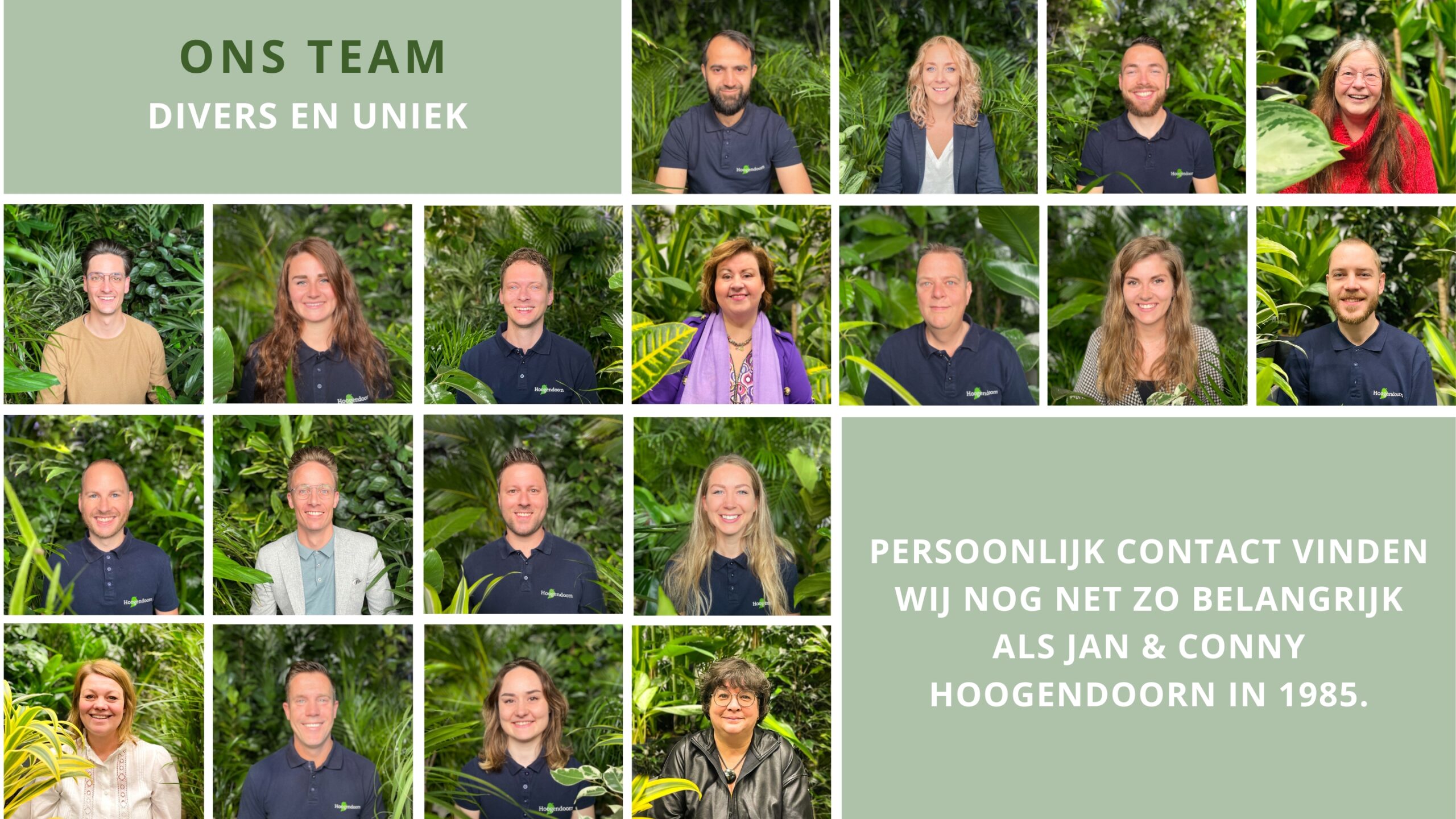 Team Hoogendoorn