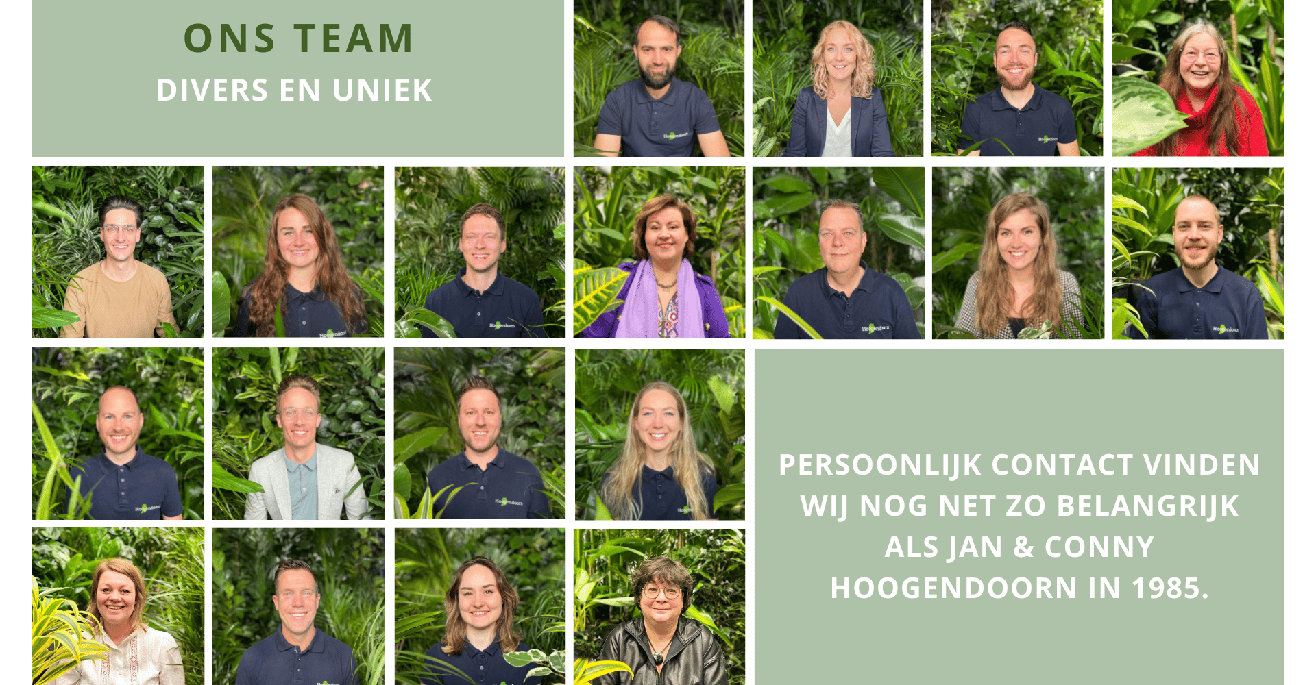 Hoogendoorn ons team - website
