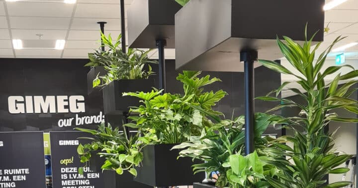 plantenkast Gimeg Roomdivider groene werkomgeving interieurbeplanting
