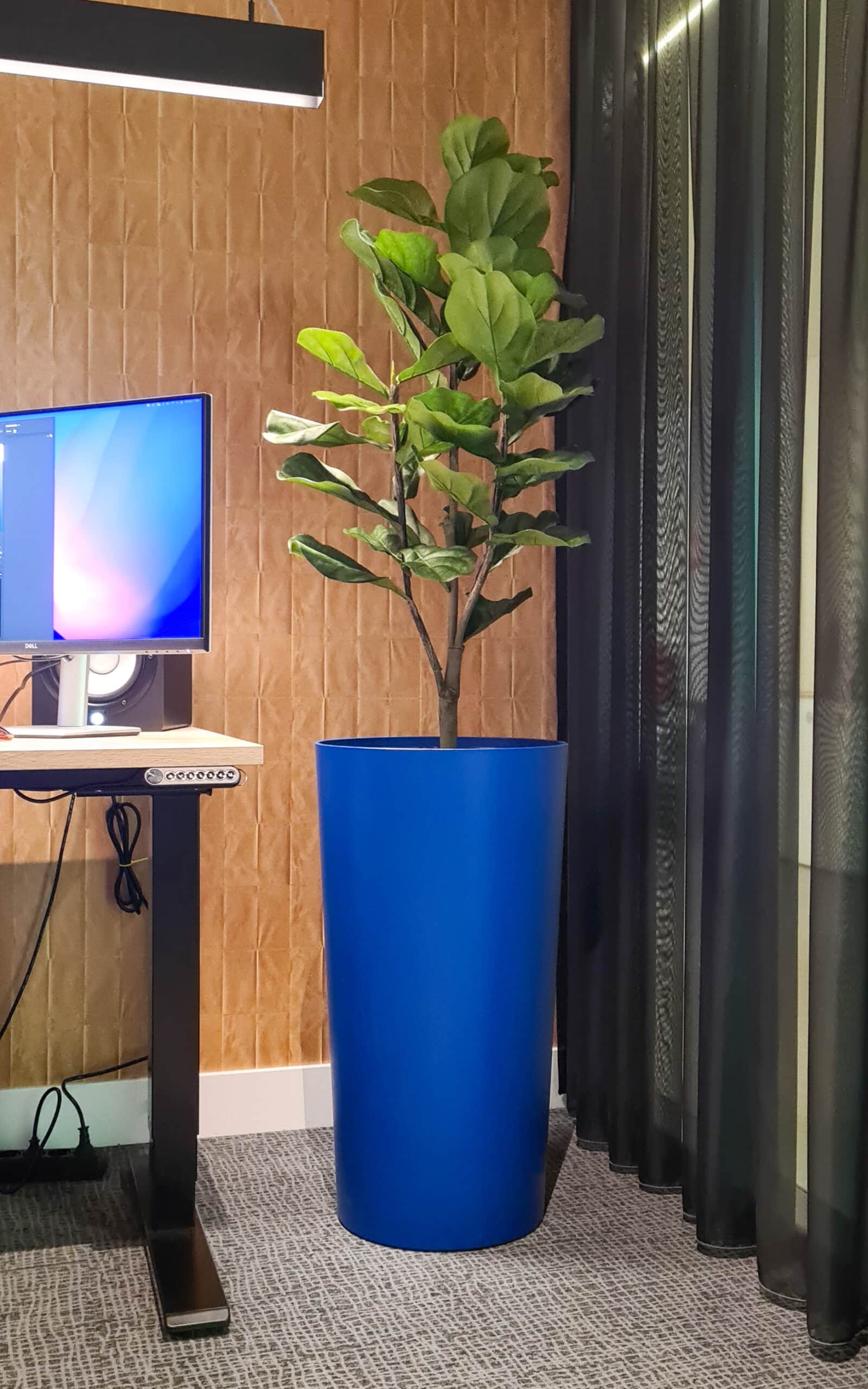 planten op kantoor