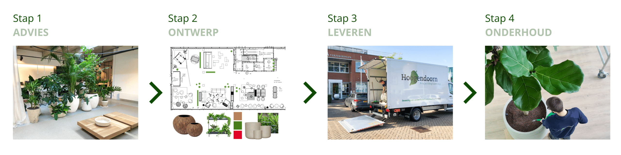 Werkwijze stappenplan Hoogendoorn Projectbeplanting